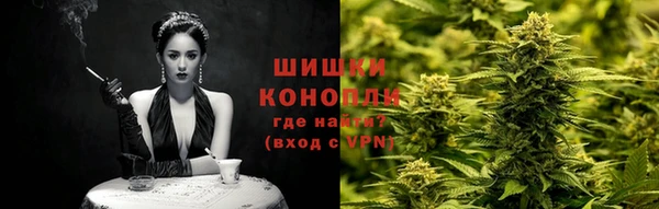 индика Богородск