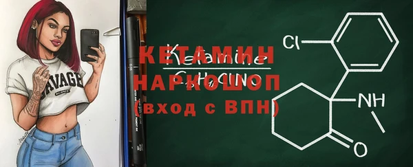 индика Богородск