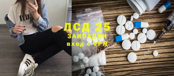 индика Богородск