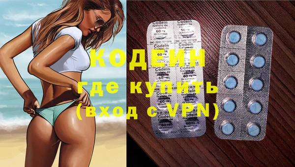 индика Богородск
