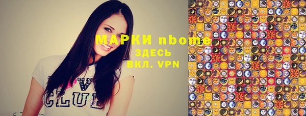 индика Богородск