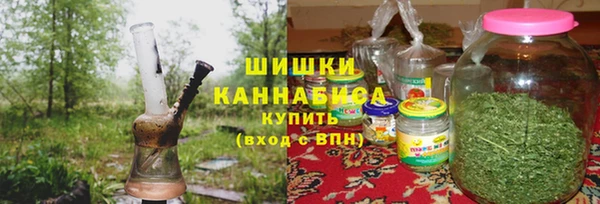 индика Богородск