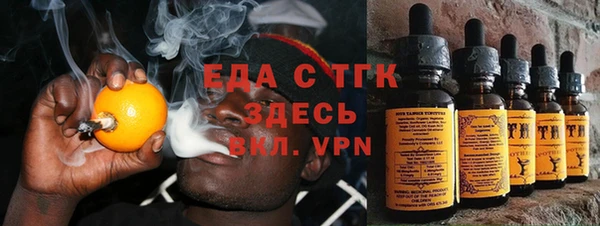 индика Богородск