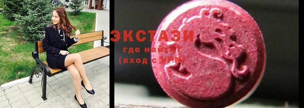 индика Богородск