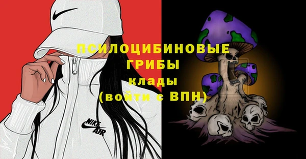 индика Богородск