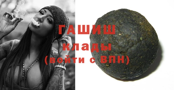 индика Богородск